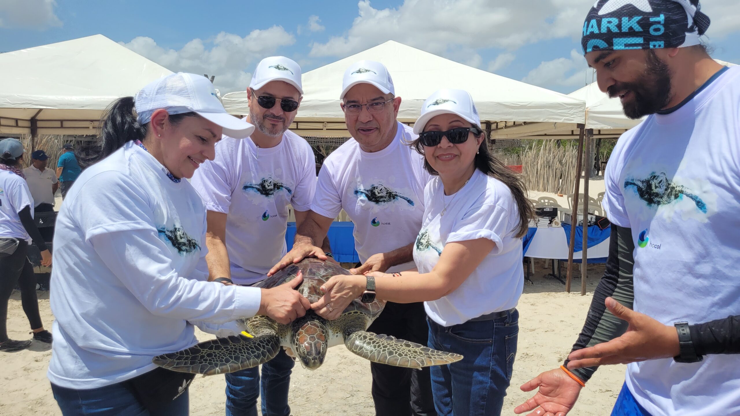 Hocol apoya liberación de tortugas marinas en playas de Manaure
