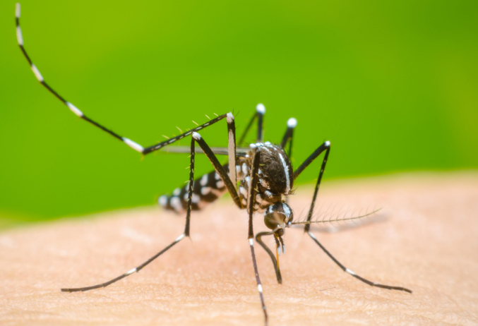 Hospital de Riohacha alerta sobre aumento de dengue