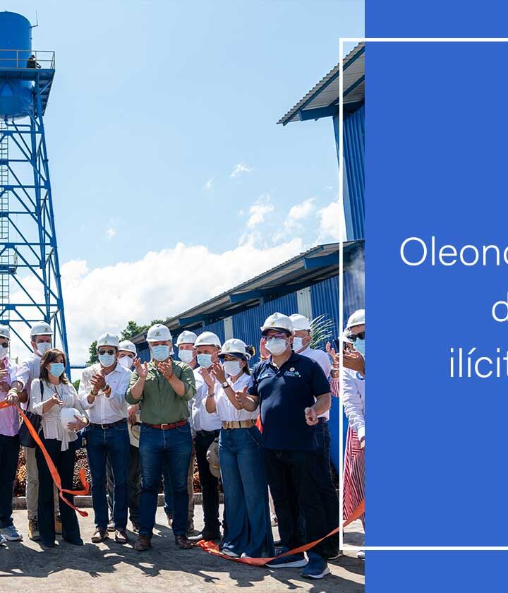 Con proyectos como Oleonorte es como vamos a derrotar las economías ilícitas: Presidente Duque