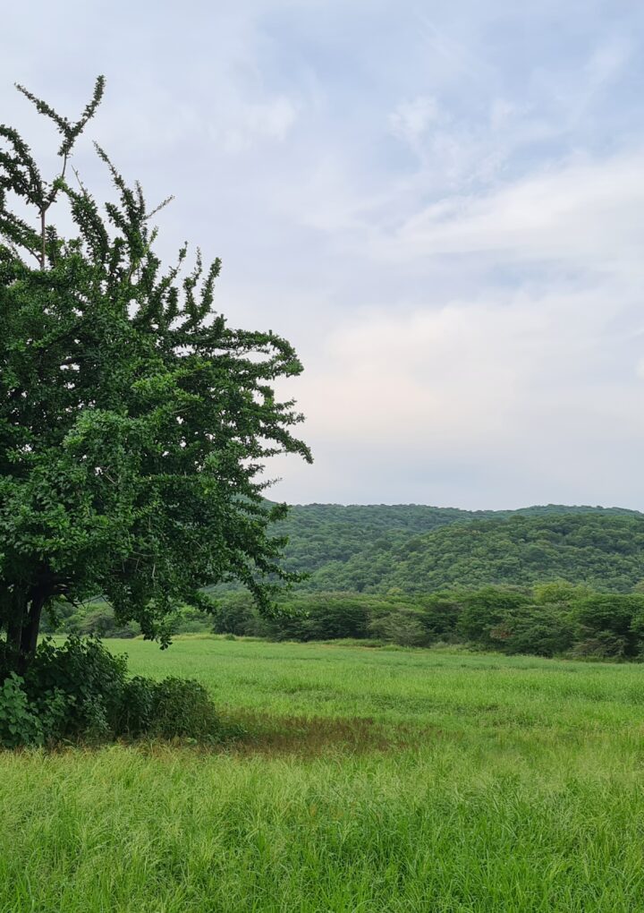 La reserva más grande de La Guajira