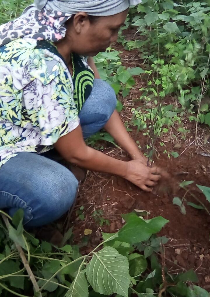 Cerrejón y la comunidad conservan áreas de cultivo en la cuenca del arroyo Bruno