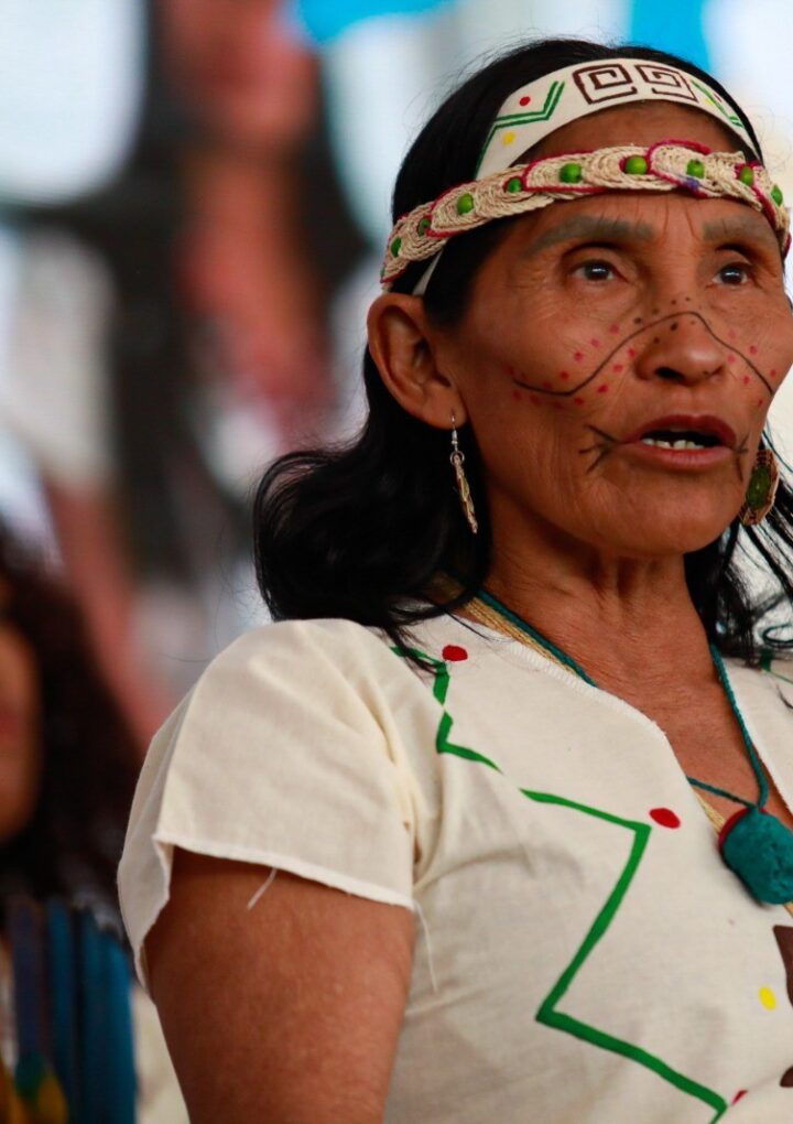 Colombia celebra Día de la Lengua Materna y Día de las Lenguas Nativas